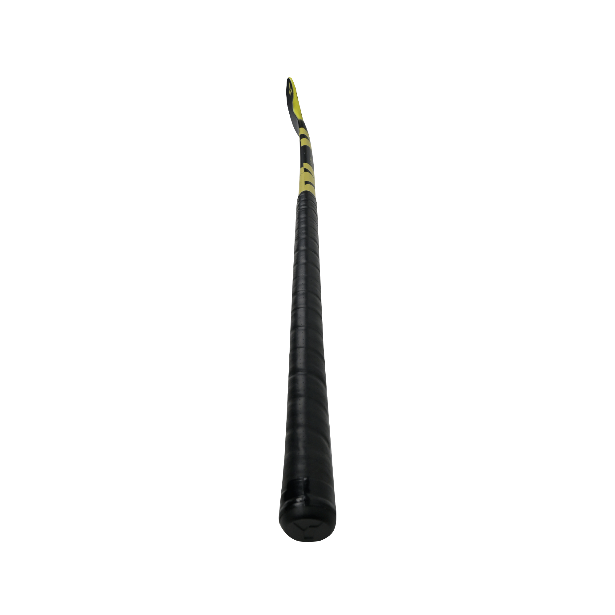 Y1 - LB 70 [2025]
